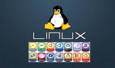 8 Distribusi Linux Terbaik, Moderen dan Terpopuler di Tahun ini