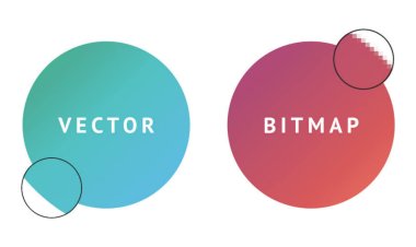 Apa Perbedaan Vektor dan Bitmap dalam Desain Grafis?